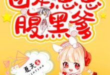 团宠崽崽腹黑爹小说，团宠崽崽腹黑爹免费阅读-侠客文学