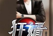 完结版《狂婿》免费阅读-侠客文学