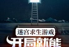 已完结小说《迷宫求生游戏：开局就能看到提示》章节免费阅读-侠客文学