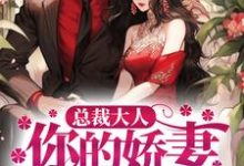 《总裁大人，你的娇妻已跑路》小说章节列表免费试读，叶展眉言止安若瑜南瑾小说在线阅读-侠客文学