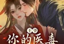 王爷,你的医毒王妃嫁到凌枫蝶萧南炎在线章节免费阅读-侠客文学