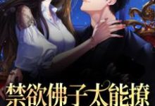 禁欲佛子太能撩，她意乱情迷了小说有没有完整的免费版本在线阅读？-侠客文学