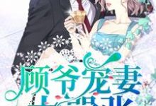 顾爷宠妻太嚣张小说,顾爷宠妻太嚣张章节在线阅读-侠客文学