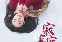 宋灿韩溯苏梓为主角的小说叫什么？免费看寂寞寂寞就好-侠客文学