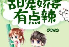 顾瑾沈青松小说在线章节免费阅读（重生八零：甜宠娇妻有点辣无弹窗无删减）-侠客文学