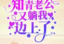 顾七娇郑云升是哪本书的主角?寻找七零:一睁眼,知青老公又躺我边上了免费阅读-侠客文学