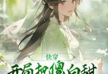 想读叶长安沈知许的故事，哪里可以免费找到快穿：开局把傻白甜反派拐回家？-侠客文学