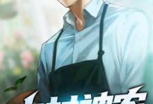 王远赵静为主角的小说叫什么？免费看山村神农-侠客文学