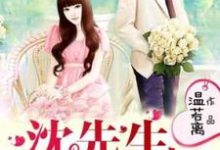 沈先生又发糖了！小说的无弹窗阅读体验，寻找免费阅读网站-侠客文学