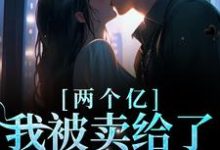 林浅傅聿川的小说在哪里看?免费在线阅读两个亿,我被卖给了陌生男人-侠客文学