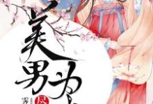 免费在线阅读美男为我尽折腰小说的正规网站有哪些？-侠客文学