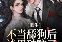 小说《重生不当舔狗后,渣男破防了》在线章节阅读-侠客文学