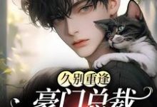 小说《久别重逢:豪门总裁又野又痞》章节免费阅读-侠客文学