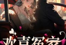 主角 唐绾宋玺小说欢喜冤家免费阅读-侠客文学