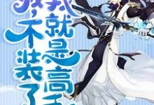 叶东悄眉的故事在哪本书里？免费阅读我，不装了，我就是高手-侠客文学