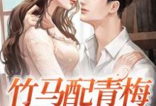 男女主人公叫舒梨江听白的小说免费资源-侠客文学