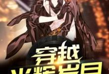 寻找穿越光辉岁月小说的最新更新章节-侠客文学