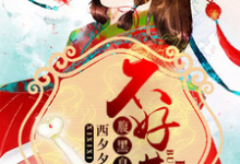 腹黑皇叔不好惹小说全文哪里可以免费看？-侠客文学