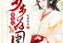 免费阅读蓝慕昭上官流年为主角的小说，重生之步步为凰在线看-侠客文学