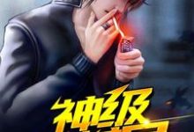 小说《神级小村民》在线章节阅读-侠客文学