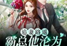 免费阅读许念念霍宴深为主角的小说，追妻路遥：霸总他沦为妻奴啦在线看-侠客文学