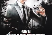 陈锋安羽希林菲儿许倩是哪本书的主角？寻找都市超级保安免费阅读-侠客文学