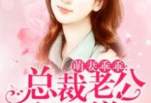 萌妻乖乖：总裁老公好霸道全晚晚凌小安萧寒，萌妻乖乖：总裁老公好霸道在线无弹窗阅读-侠客文学