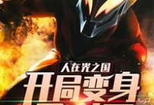 求人在光之国:开局变身贝利亚小说的全文免费阅读链接-侠客文学