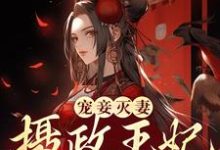 《宠妾灭妻?摄政王妃她不干了》全集免费在线阅读(段司音上官谨)-侠客文学