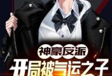 完结版《神豪反派:开局被气运之子戴绿帽》在线免费阅读-侠客文学