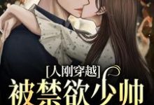人刚穿越，被禁欲少帅狂宠上天了小说，人刚穿越，被禁欲少帅狂宠上天了免费阅读-侠客文学