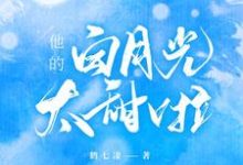 求他的白月光太甜啦小说免费资源-侠客文学