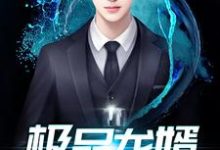 极品龙婿龙辰楚婉柔白玉研楚清河小说大结局免费试读-侠客文学