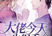 求大佬今天也很乖小说的全文免费阅读链接-侠客文学