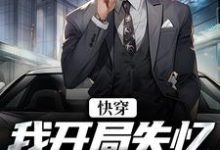 汤海涛云轻歌的小说在哪里看？免费在线阅读快穿：我开局失忆，入赘云家-侠客文学