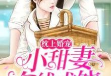 小说《枕上婚宠：小甜妻在线求饶》章节免费阅读-侠客文学