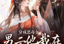 主角叫黎舒舒路羡青的小说在哪阅读-侠客文学