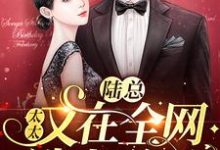 陆辞简溪为主角的小说叫什么？免费看陆总，太太又在全网选老公了-侠客文学