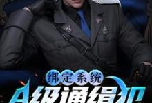 孙平安谢平为主角的小说绑定系统:A级通缉犯说抓就抓在线阅读-侠客文学