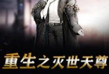 重生之灭世天尊叶无道叶依依萧碧儿小说在线章节免费阅读-侠客文学