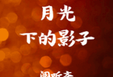 主角柳春禾沈飞小说完结版在线阅读，月光下的影子免费看-侠客文学