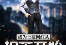 琼途韩雅萱十三卡卡西小说叫什么（成为土豪网红从拾荒开始免费阅读）-侠客文学