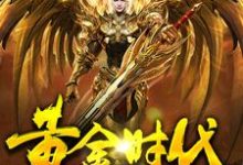 黄金时代小说,黄金时代刘磊叶兰-侠客文学