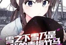 免费阅读李麒雪之下雪乃为主角的小说,雪之下雪乃是我的青梅竹马在线看-侠客文学
