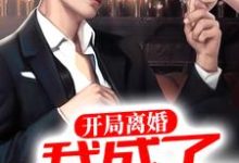 林臻上官灵儿的故事在哪本书里?免费阅读开局离婚,我成了世界首富-侠客文学