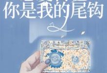 免费阅读宋懿沈栖迟为主角的小说,恋爱日记:你是我的尾钩在线看-侠客文学