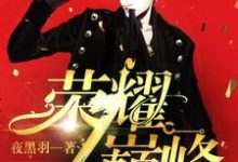 《荣耀巅峰》小说章节在线试读,《荣耀巅峰》最新章节目录-侠客文学