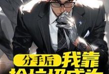 分手后,我靠捡垃圾成为世界首富小说完结版章节免费阅读-侠客文学