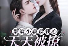 小说《禁欲小叔读我心，天天被撩失控了》章节免费阅读-侠客文学