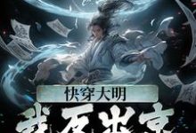 快穿大明：我反出京师对抗皇帝小说的无弹窗阅读体验，寻找免费阅读网站-侠客文学